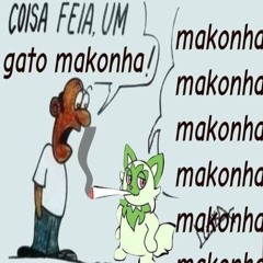 Gato Makonha #konhamakonha