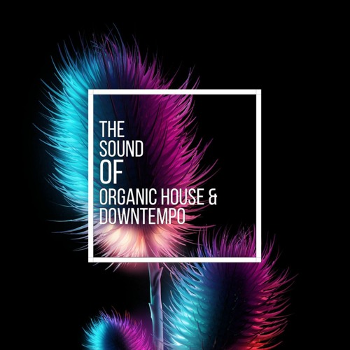 The Sound Of Organic House & Downtempo Vol.16