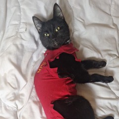 x Le4 *new bleutooth device mp3