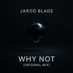 Why Not (Original Mix)
