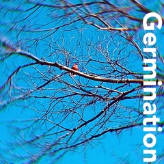 Germination (excerpt) | for chamber orchestra (2019)