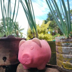 La Vie En Rose (Cover)