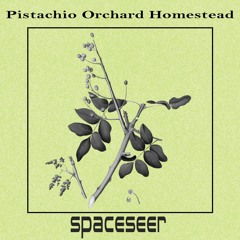 Pistachio Orchard Homestead