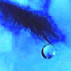 Without you