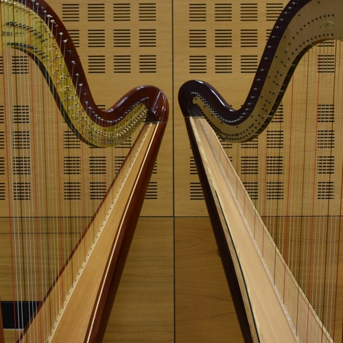The Seal Lullaby (Two Harps)