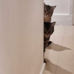 Don't go (instrumental)