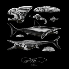 Owen Ovadoz - Diamonds (내 비트로 편곡)