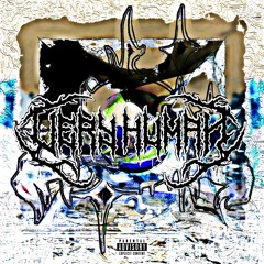 𝒗𝒆𝒓𝒚 𝒉𝒖𝒎𝒂𝒏 𝒙 𝟏𝟎𝟎 𝒈𝒆𝒄𝒔- 𝒎𝒊𝒈𝒉𝒕𝒔𝒕𝒐𝒑𝒚𝒐𝒖 - free download