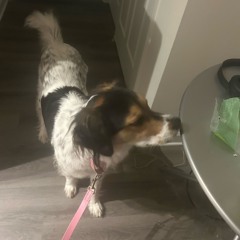 tv off prod bullseye