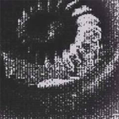 ‎‎‎‎ ‎‎‎