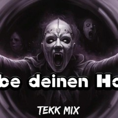 Lebe deinen Hass (TekkMix)