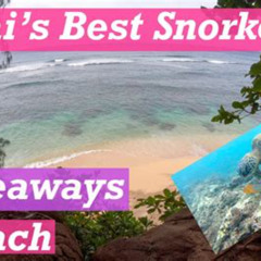 Best Kauai Snorkel Tours From Princeville Prices Reviews