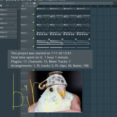 birdy trap
