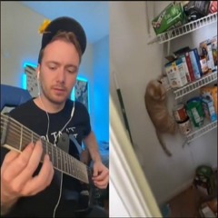 oh my god frank get down - lofi version