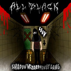 ALL BLACK **HOSTED BY SHADOW WIZARD MONEY GANG**