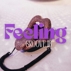 Funky House mix by Da Audio / Feeling Groove vol. 18