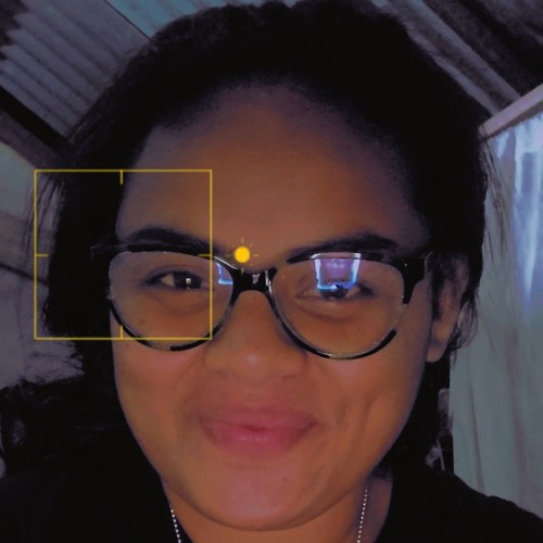 Controller [Prime Remixx] 2024