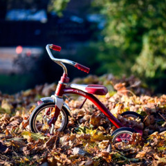 THE TRICYCLE CAFE  FALL FOLIAGE RIDE SET