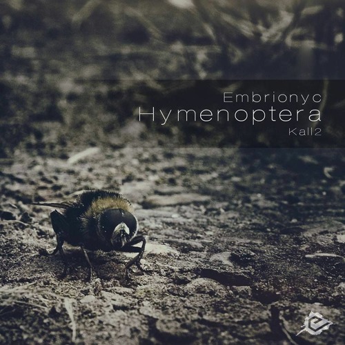 Embrionyc - Apiformes