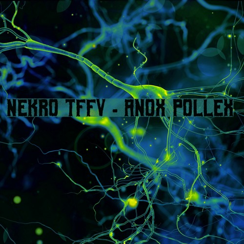 technoiiider2
