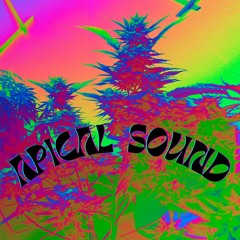 Full Album: Apical Sound The Best Of Dub Reggae Instrumentals