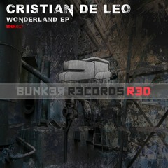 [ASG BRR017] Cristian De Leo - Wonderland EP Preview