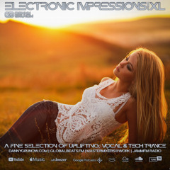 Electronic Impressions 900 XL with Danny Grunow