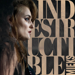 Indestructible (single)