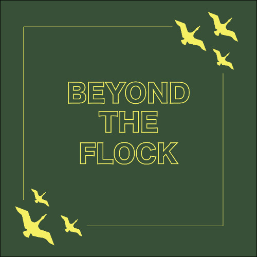 Beyond the Flock: Aidra Wall and Sean Hansen (Episode 4)