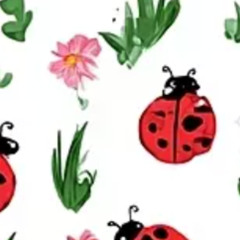 Lady Bug - Clairo (Early Demo 2015)