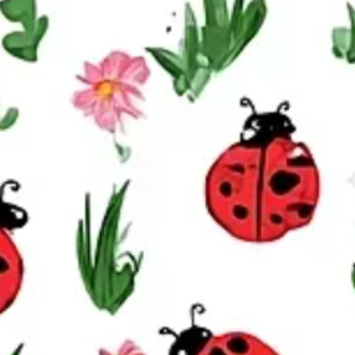 Lady Bug - Clairo (Early Demo 2015)