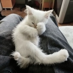 Я БУДТ0 ПР4СТ1ТУТК4 prod. @shuterovv