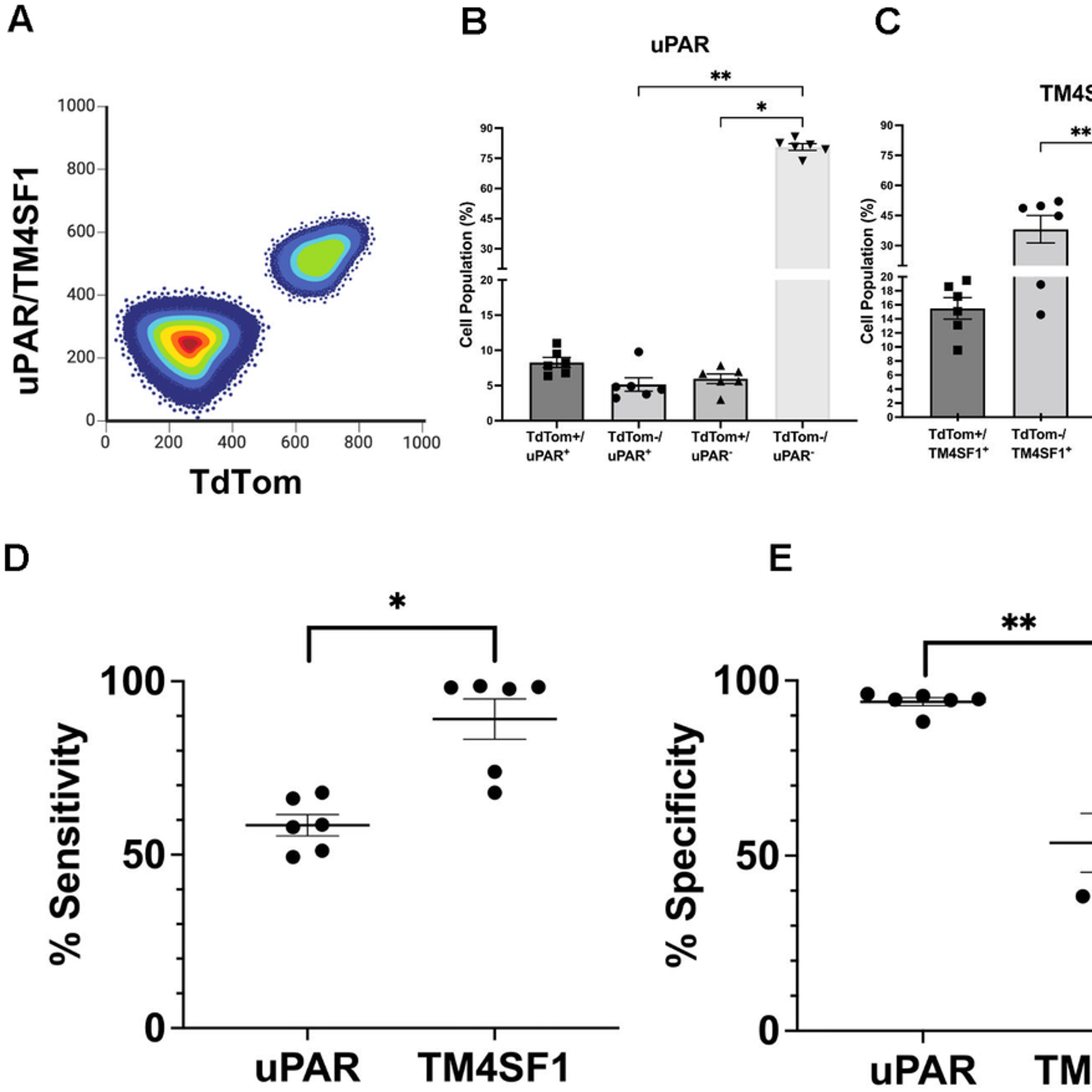 New Surface Marker Could Advance Precision Therapies for Type 2 Diabetes episode artwork