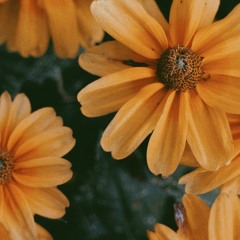 "Issues" by Julia Michaels cover