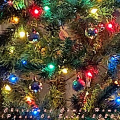 Christmas Comes Home - Peace On Earth 2025