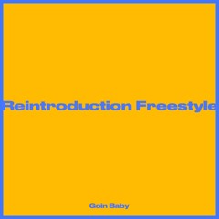 Reintroduction (Freestyle)