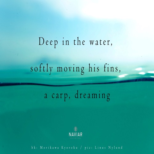 halF carP [naviarhaiku364]