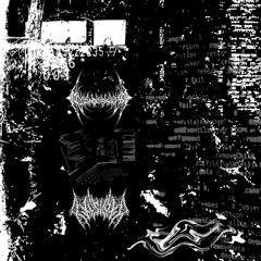 CODE INJECTION [w/ PRISON HUSK]