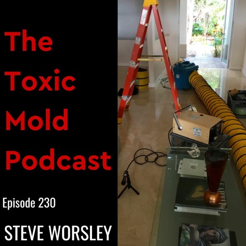 EP 230: Air Scrubbers vs Negative Air Machines for Toxic Mold Mitigation