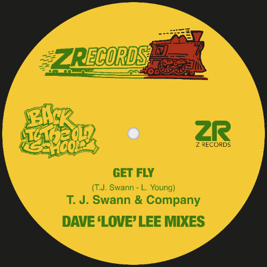【希少LP】QROIX & D.N.C / MUZIK MAKES ME FLY Stream T.J. Swann & Company - Get Fly (Rock The Message Mix