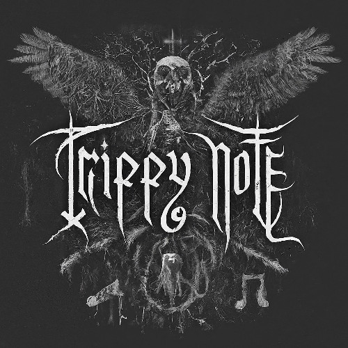 TrippyNote - Say No to Core