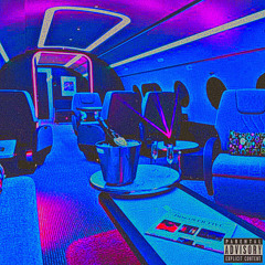 Passenger Princess