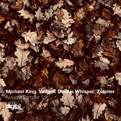 Demus Whisper - Those Fleeting Moments {Original Mix} | Stripped Digital