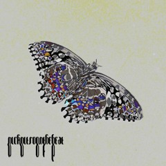 Butterfly (Beat)