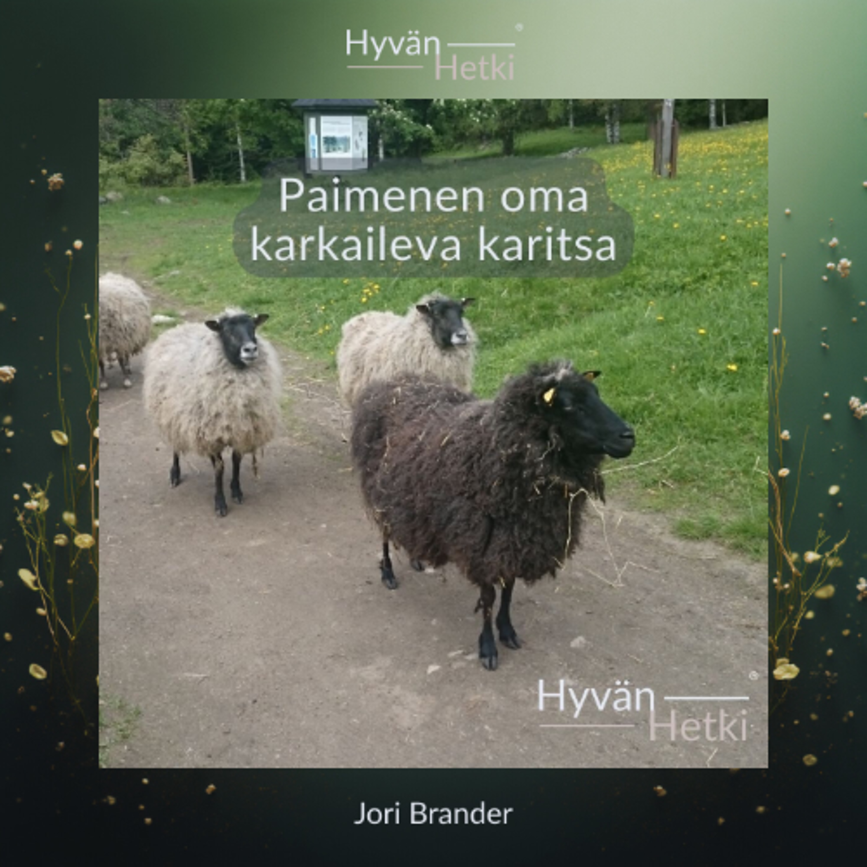 Paimenen oma karkaileva karitsa (05.01.2026)