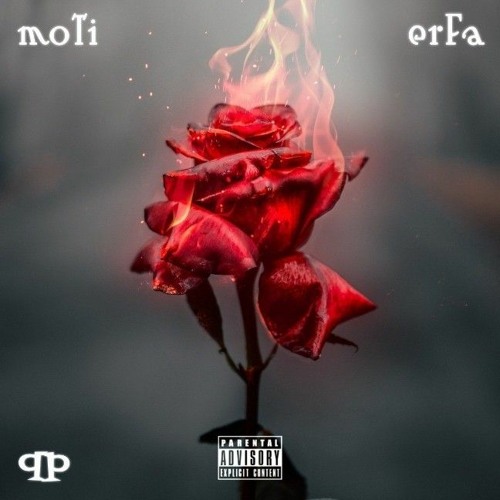 Roses ( erfa ft moti )