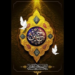 رفیق دلشکسته‌ها امام حسین خسته‌ها / سیدرضا نریمانی