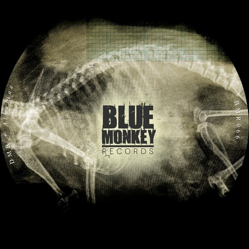 Ophiocordyceps (Original Mix)[Blue Monkey Records]