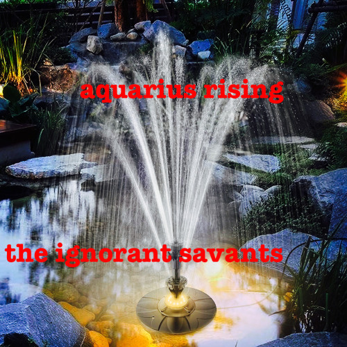aquarius rising