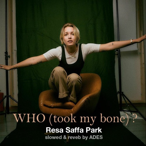 Resa Saffa Park - Who ?  (slowed & reverb)